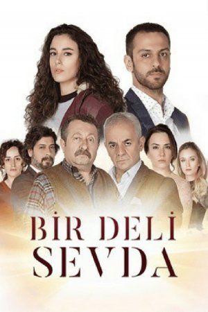 Сумасшедшая любовь турецкий сериал