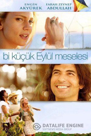Маленькая проблема Эйлюль турецкий фильм